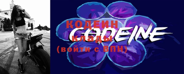 дмт Корсаков