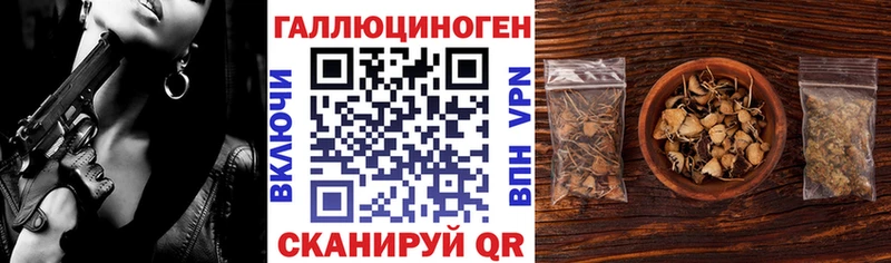 продажа наркотиков  Медвежьегорск  kraken маркетплейс  Псилоцибиновые грибы ЛСД 